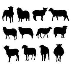 Set of Sheep Silhouette vector Illustration Eps 10
