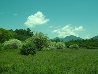 Walk through Senjogahara in early summer