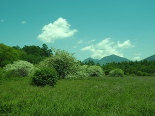 Walk through Senjogahara in early summer