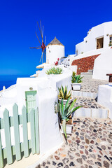 Fototapeta premium Santorini, Greece and Oia windmill