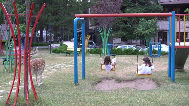 two little girls ride a swing in the park next to the deer