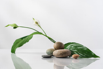 Pebbles cosmetic podium with leaves and flowers of tropical plants. White background, side view