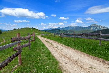 Fototapeta na wymiar Mountain road with a wooden fence, bright blue sky. Ukraine, Carpathians.