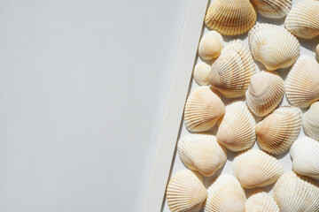 Summer background with seashells. Copy space.