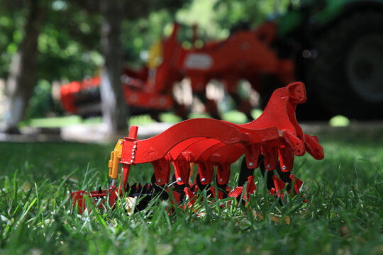 pink rose in the garden in sunny weather - Powered by Adobe