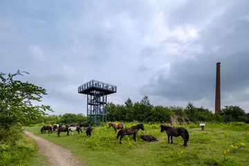 Wandaufkleber Naturereserve Fortmond, Olst, Overijssel Province The Netherlands © Holland-PhotostockNL