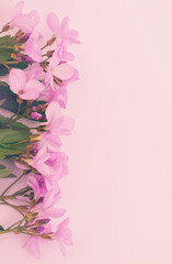 Pink spring flowers on pastel background. For your mobile cell phone, wallpaper or screen saver.