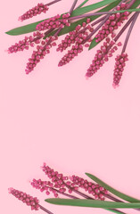 Pink spring flowers on pastel background. For your mobile cell phone, wallpaper or screen saver.