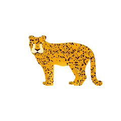 Vector illustration of a leopard on a white background. Flat design..