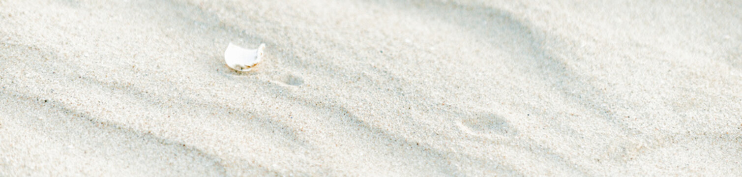 beautiful sand by the sea and a seashell. Panorama