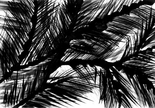 Ink palm tree leaves.
