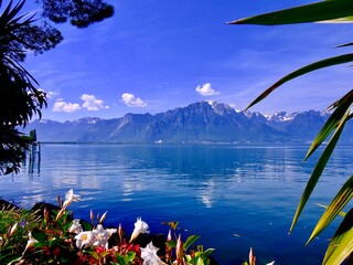 Switzerland landscapes