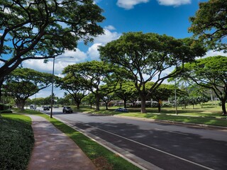 ハワイオアフ島コオリナ地区
南国の道路