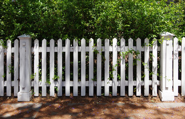White wooden picket garden fence on a sunny day