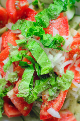Green lettuce leaves, onions and tomatoes, close-up. Vertical photography, top view.