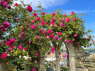 Red roses, above a stone arch, with hills in the distance in, Wilsden, Bradford, UK