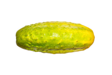 Fresh overripe cucumber on a white background.Cucumber on seeds background.