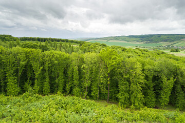 Fototapeta na wymiar Top down aerial view of green summer forest with large area of cut down trees as result of global deforestation industry. Harmful human influence on world ecology.