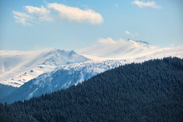 Winter landscape with high mountain hills covered with evergreen pine forest after heavy snowfall on cold wintry day.