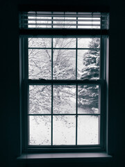 snow through the window