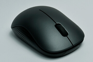 Mouse. one of the most important hardware in computer networks