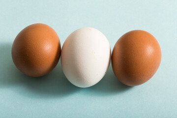 Huevos de diferente color