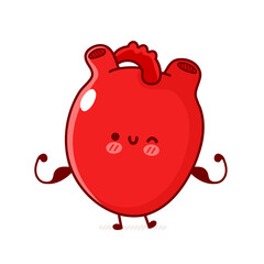 young, care, exercise, fit, energy, strong, muscle, health, muscular, healthy, biceps, fitness, sport, show, body, bodybuilder, power, demonstration, workout, active, anatomical, anatomy, baby