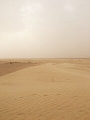 Sahara Desert and Sand dunes, Tunisia.