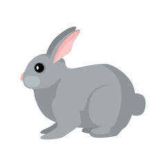 Fototapeta na wymiar Cute bunny isolated on white background in flat style. Funny cartoon character rabbit gray color.