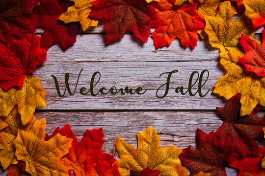 Welcome Fall Images – Browse 839 Stock Photos, Vectors, and Video