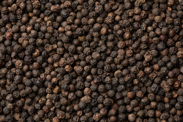 Dried black peppercorns close up full frame as a background 