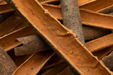 Dried Cinnamon bark close up full frame as a background 