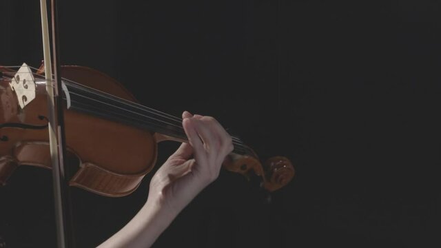 a string quartet plays a classical symphony in a dark hall