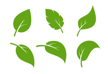 Obraz premium Leaf vector icon logo. Vegan leaves green eco flat herbal icon simple shape