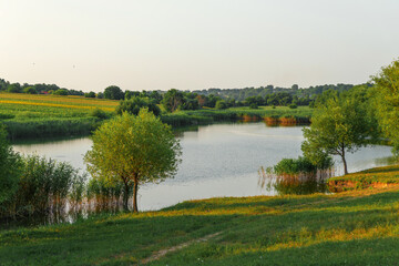 Fototapeta premium Beautiful rural landscape with meadow and lake at springtime. Fresh meadow landscape. Tranquil evening view over fields with pond in foreground
