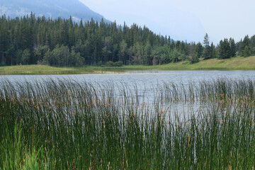lake in the mountains