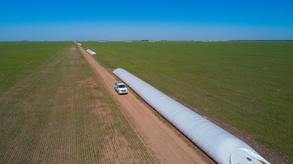 Aerial view of 4x4 pickup truck driving through wheat crops field with silos bags on the road....