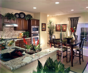 modern kitchen interior