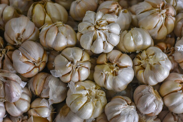 garlic sold in traditional markets