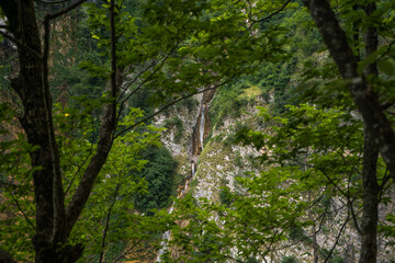 Hidden waterfall between the trees