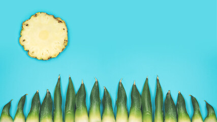 Happy minimalistic summer background with sun and gras on turquoise sky made by pineapple