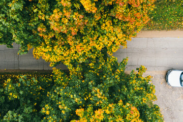 Aerial view of road in beautiful autumn forest at Beautiful landscape with asphalt rural road, trees with red and orange leaves. Highway through the park. Aerial shot of a car in autumn forest