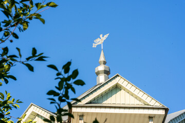 Tree branches with leaves against the sky, a weather vane on the roof of the house, the foreground is blurred