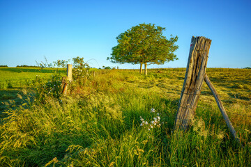 Paysage campagne 971