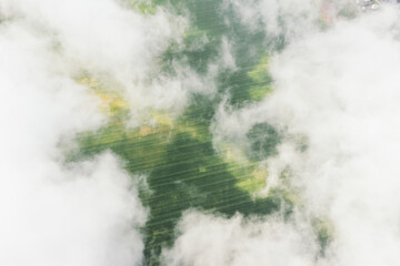 High flight in the cumulus clouds over agricultural fields in summer. Higher than clouds