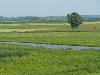 Der Fischerot Ditzum in Ostfriesland