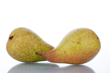Two juicy appetizing pears, close-up, isolated on white.