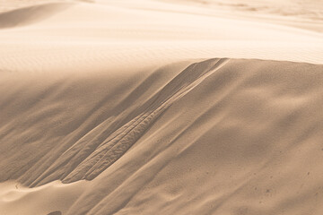 Fototapeta na wymiar Fine texture and lines of sandy dunes in a desert.