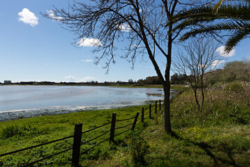 Marisma en la aldea del Rocío, Huelva.