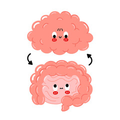 Cute funny happy human intestine and brain organs and circle arrows.Vector cartoon kawaii character illustration icon.Isolated on white background.Brain and intestine cartoon doodle character concept